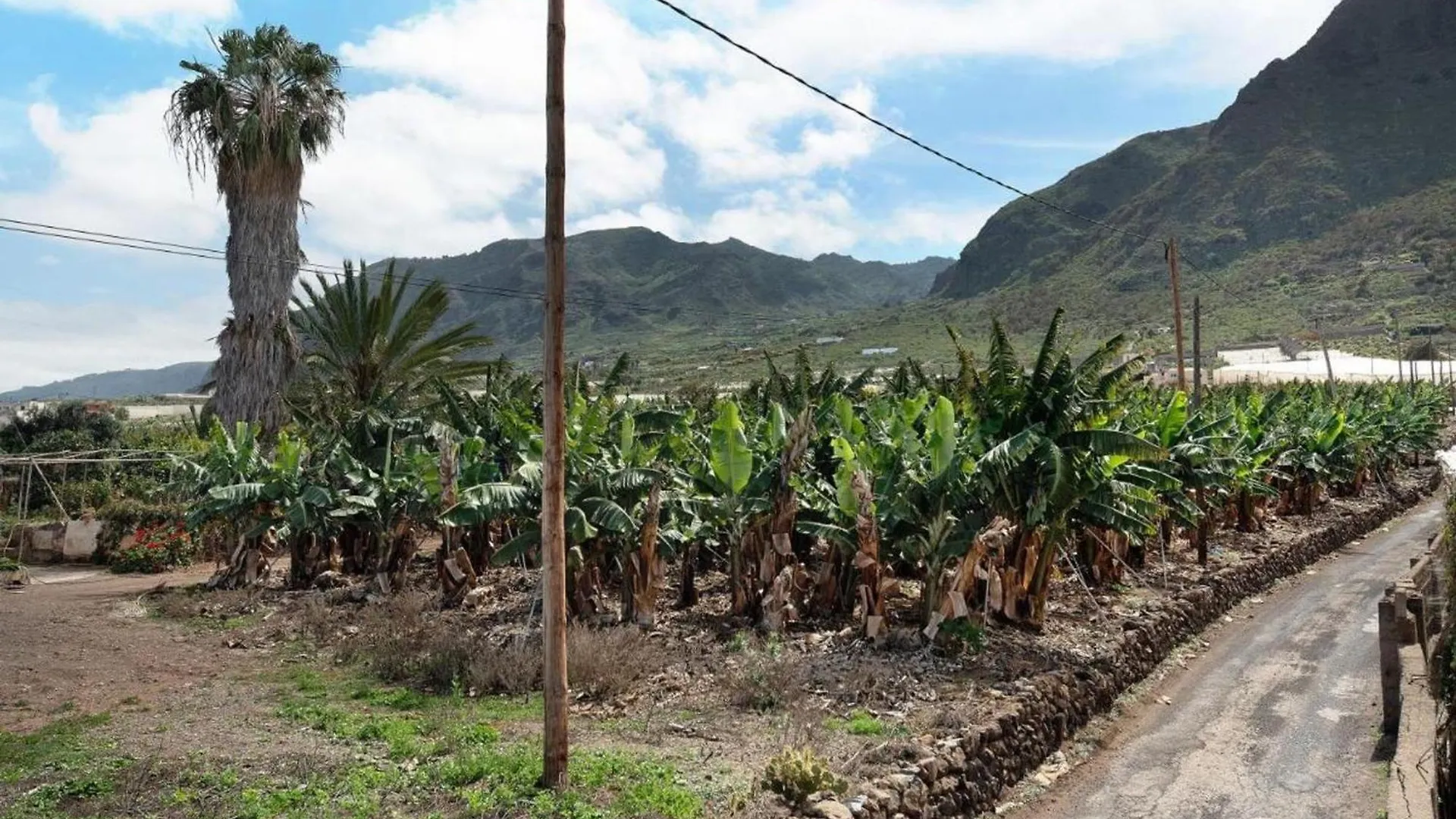 Holiday home House El Cardon A1 In Buenavista Del Norte